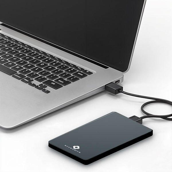 Everdrive hard drive in use